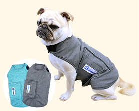 寵物安撫衣|寵物用品生產廠家|東莞市琪美實業有限公司